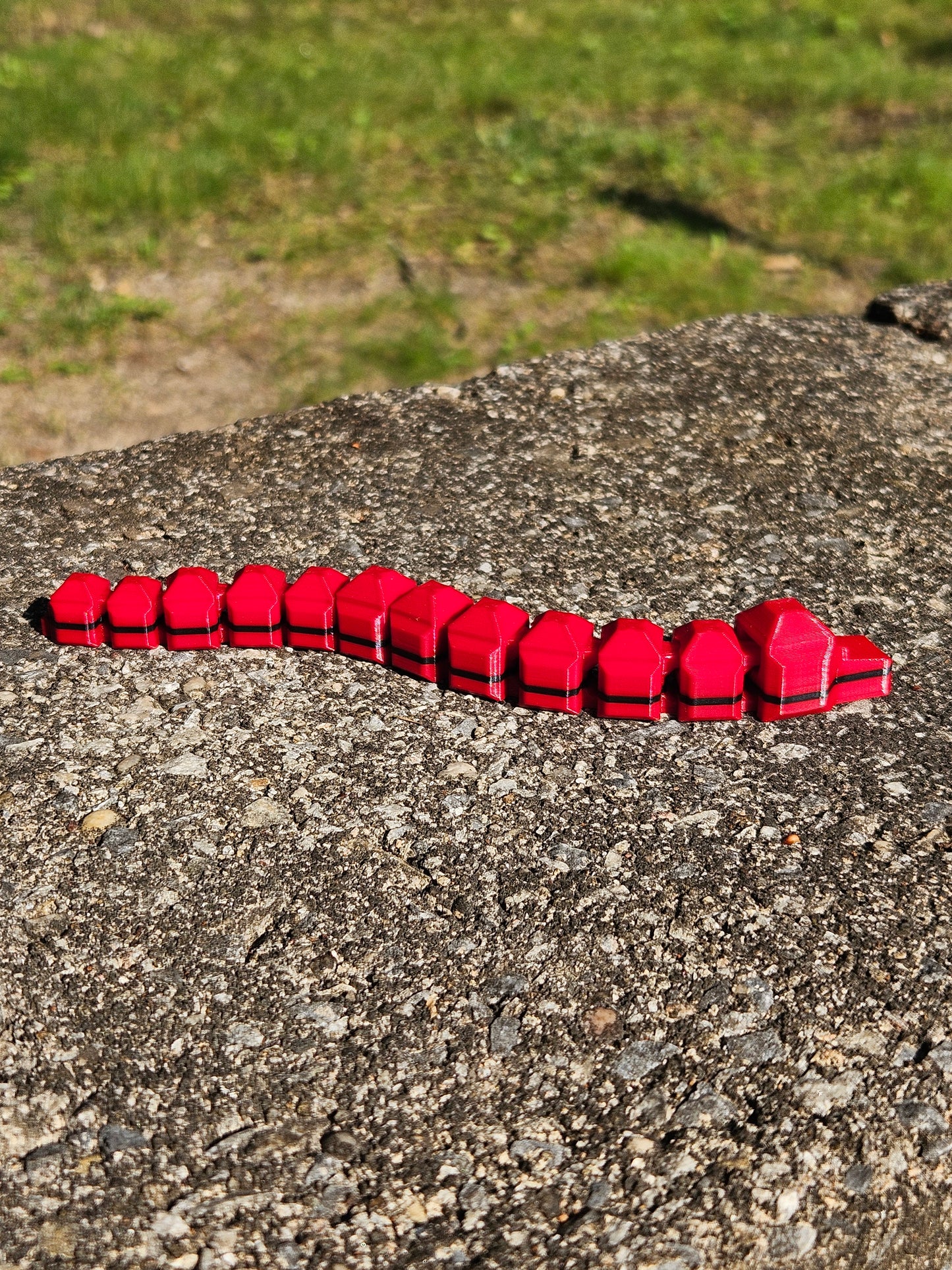 Wiggle Worms