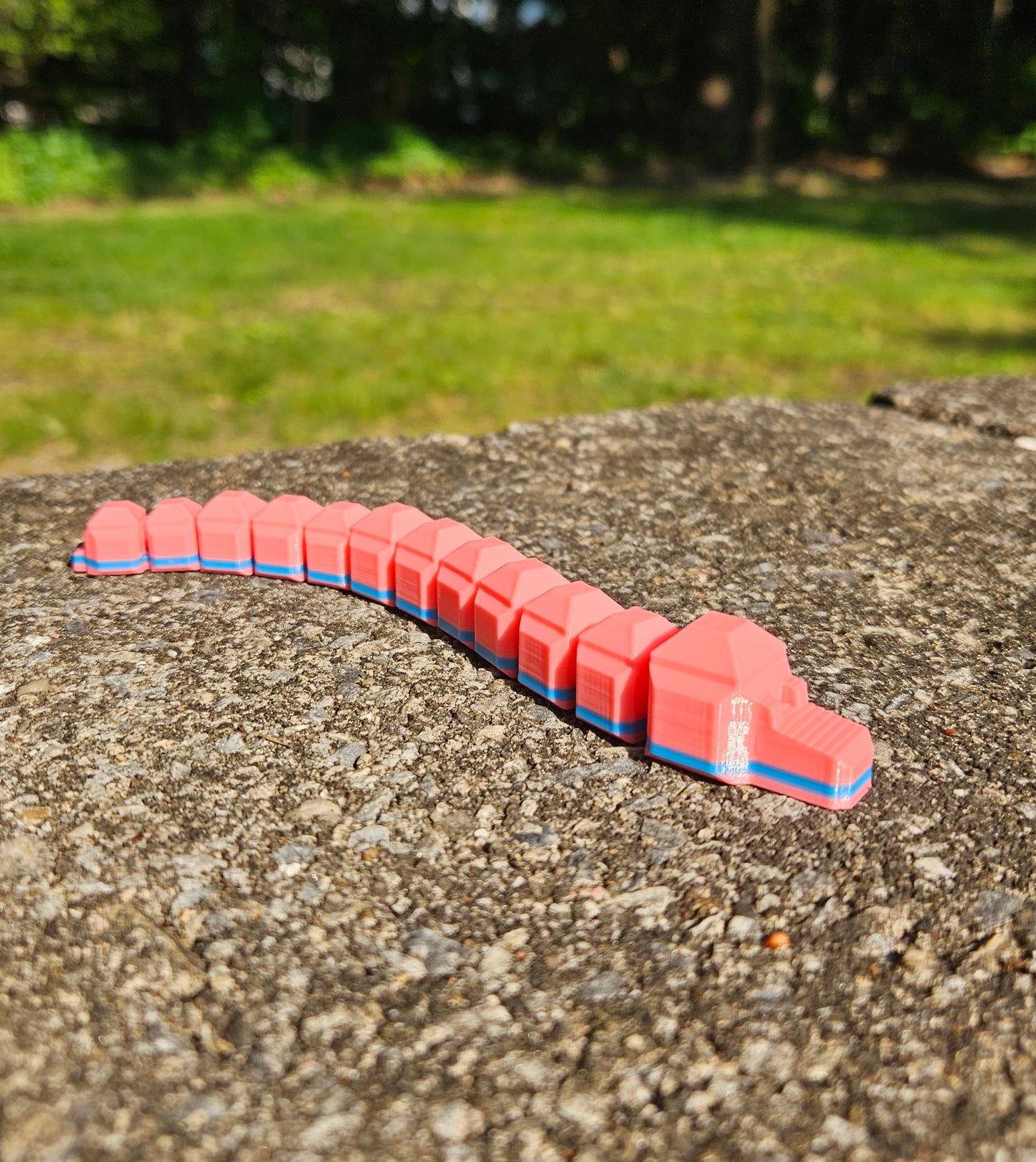 Wiggle Worms
