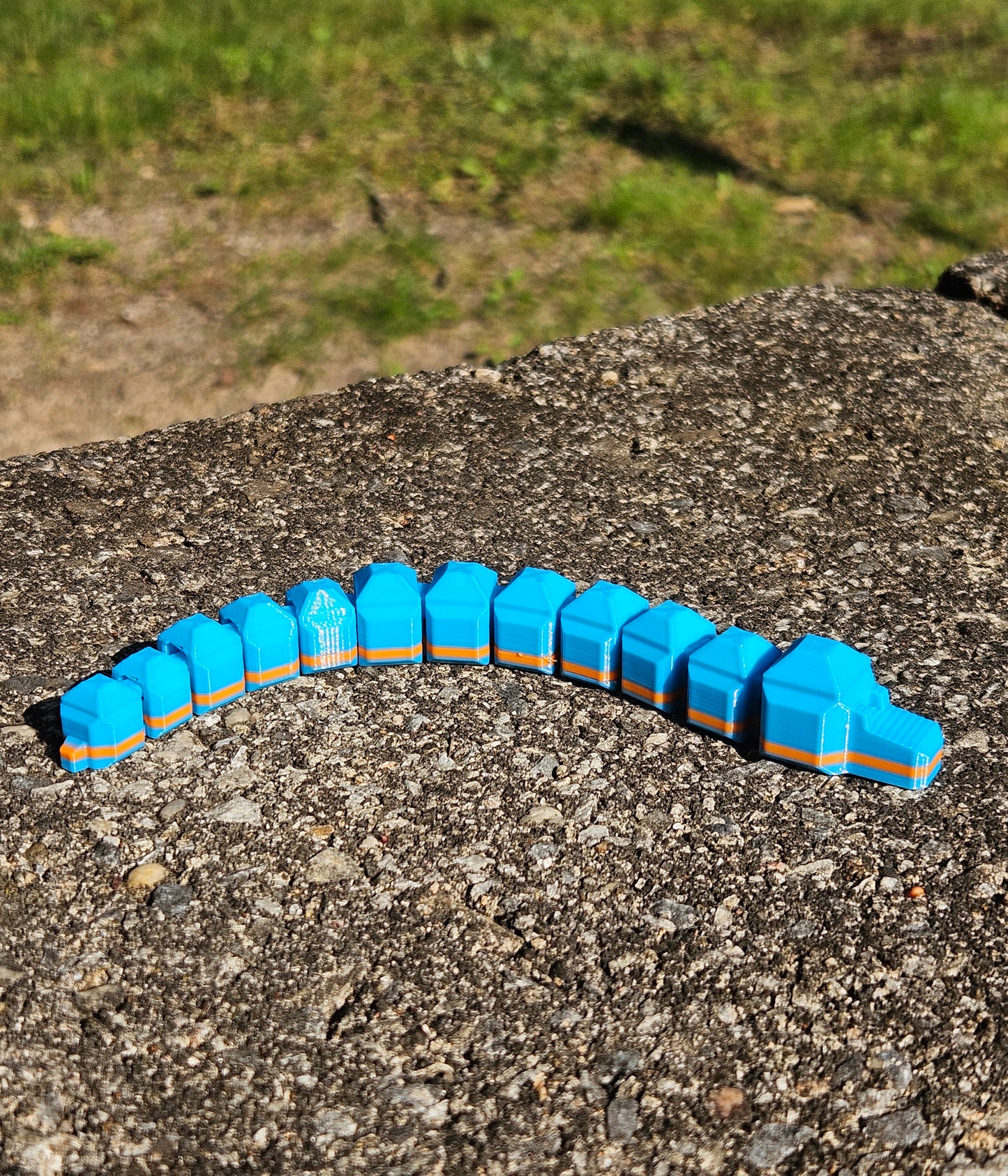 Wiggle Worms