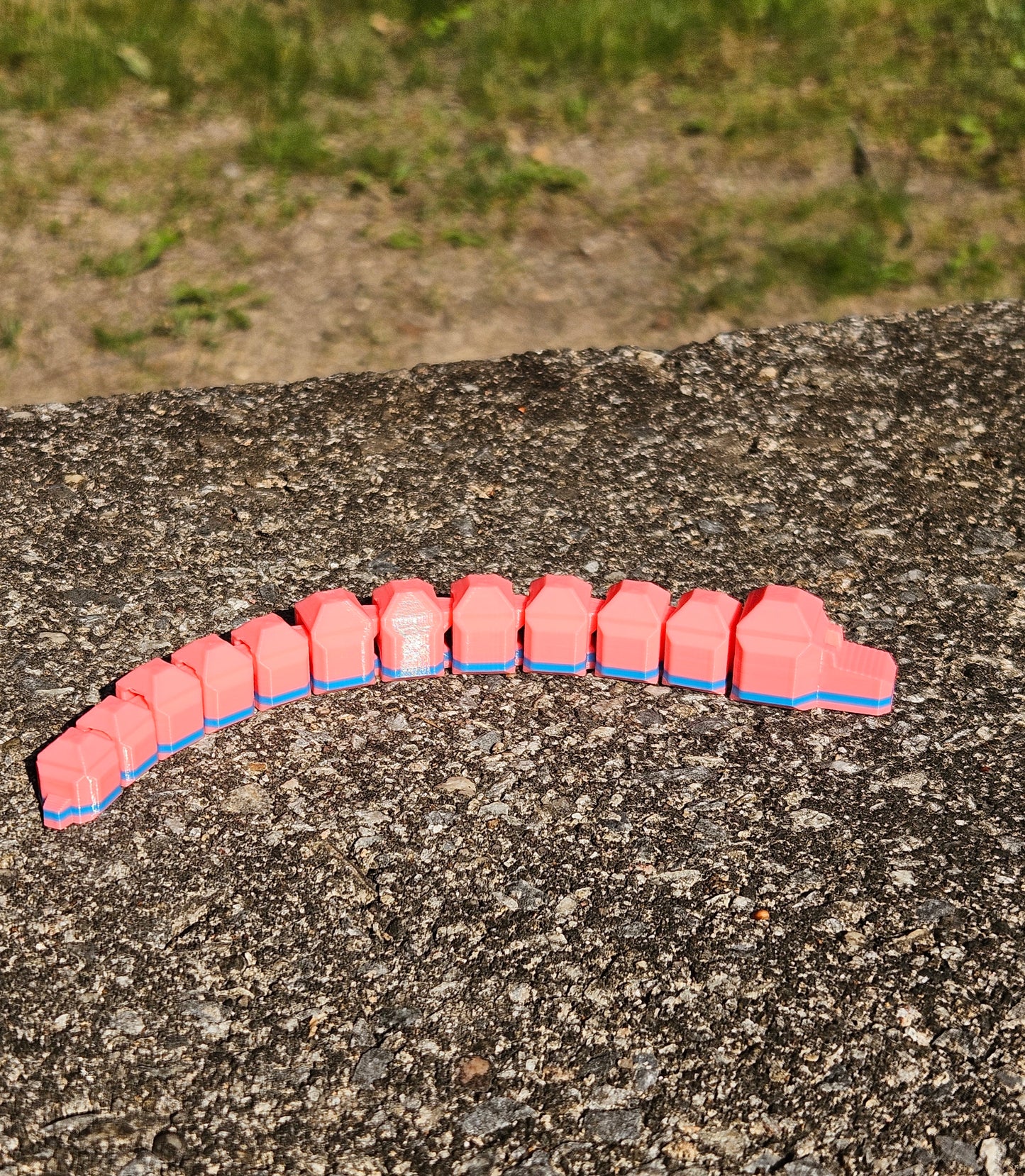 Wiggle Worms